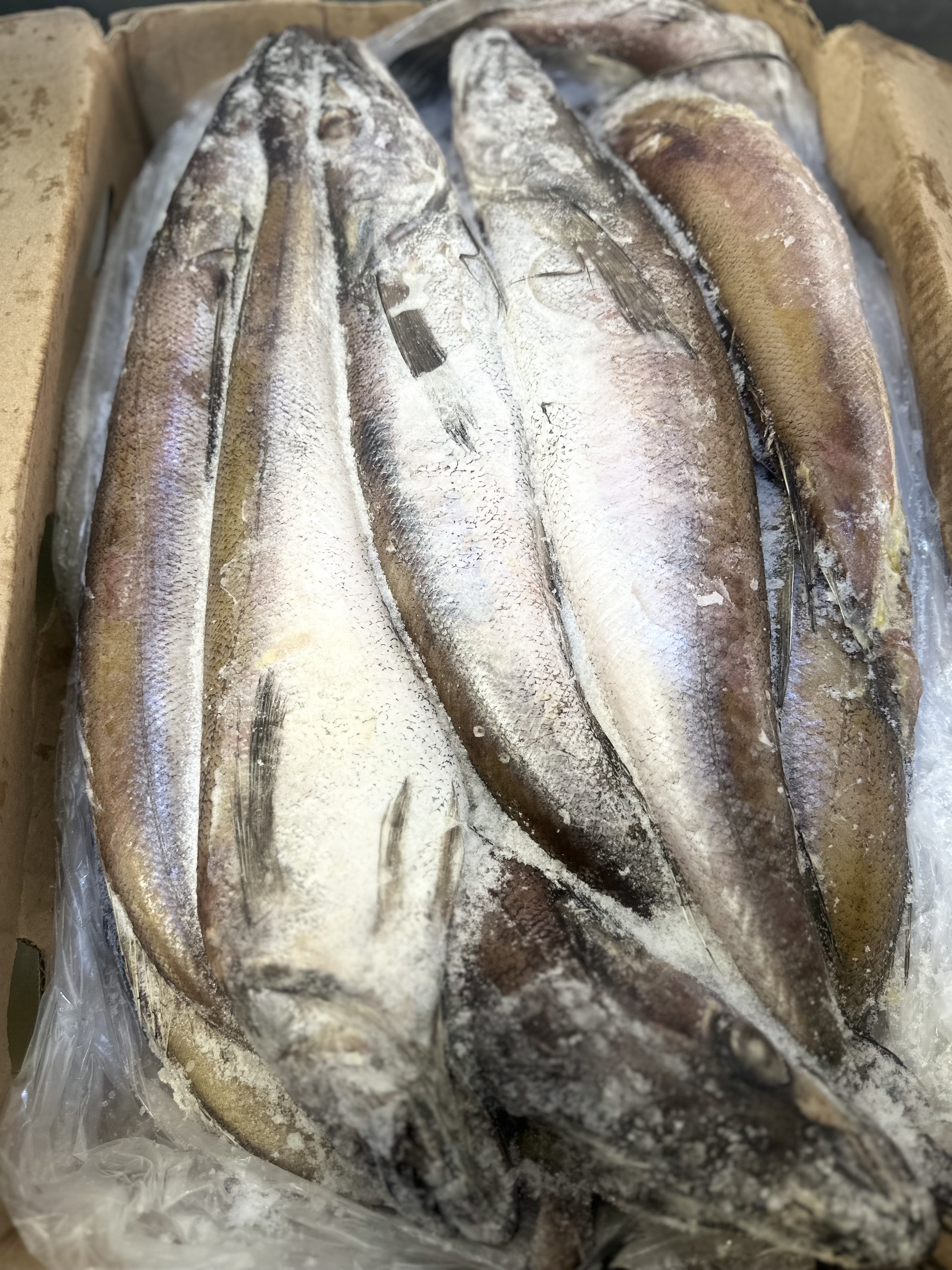 Hake
