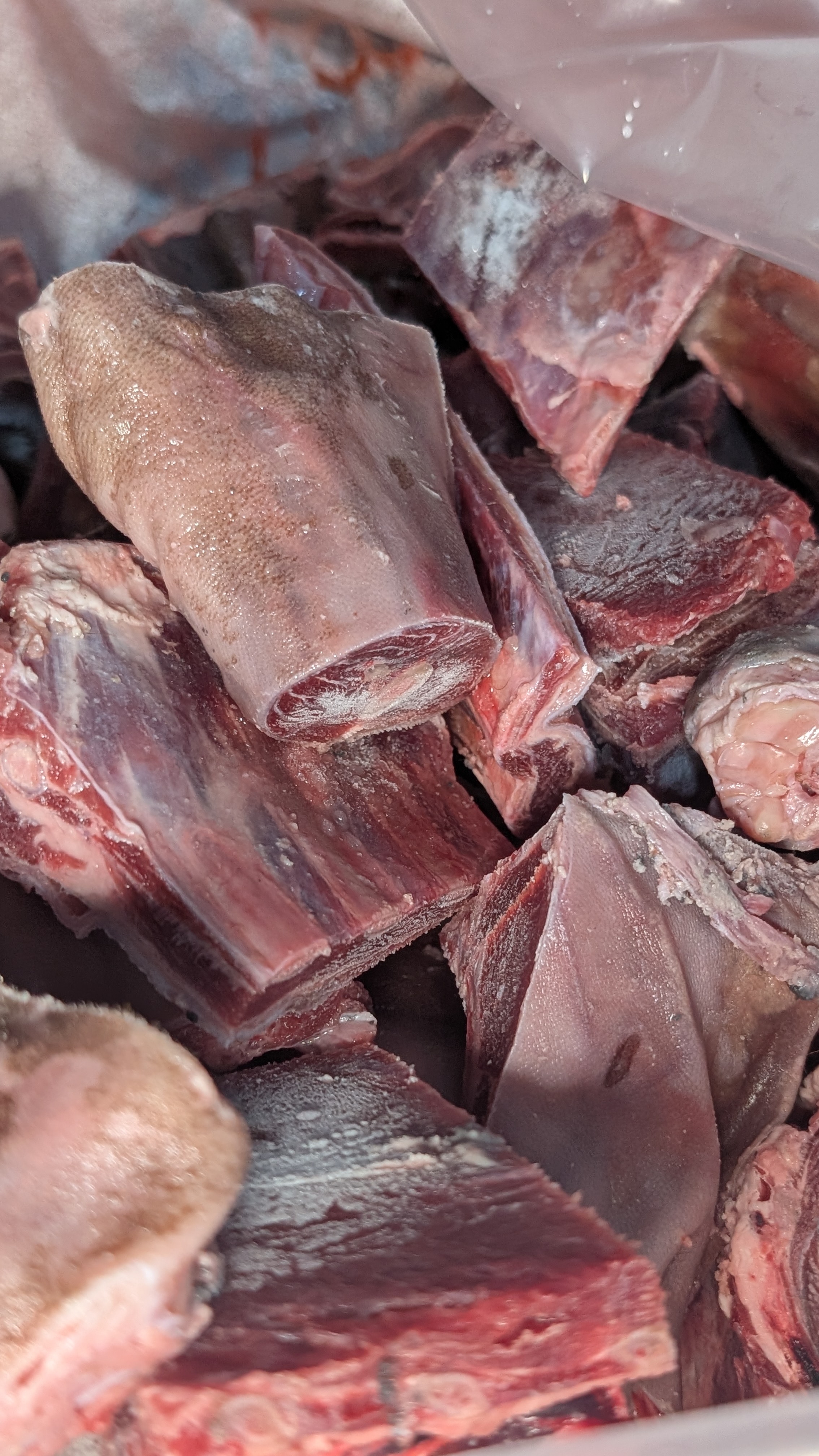 Premium Goat Meat